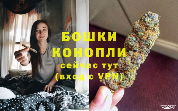 спайс Пересвет
